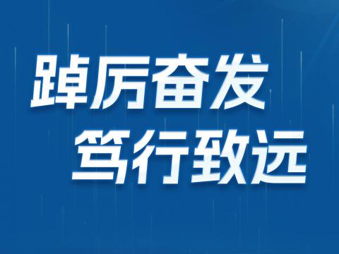 一图读懂Z6官网电气2024年半年报