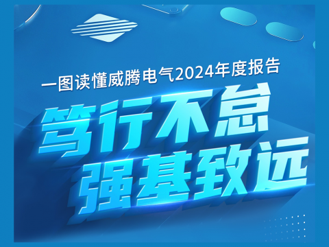 一图读懂Z6官网电气2024年度汇报