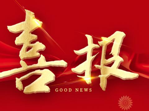 Z6官网电气荣膺江苏省造作业领航企业